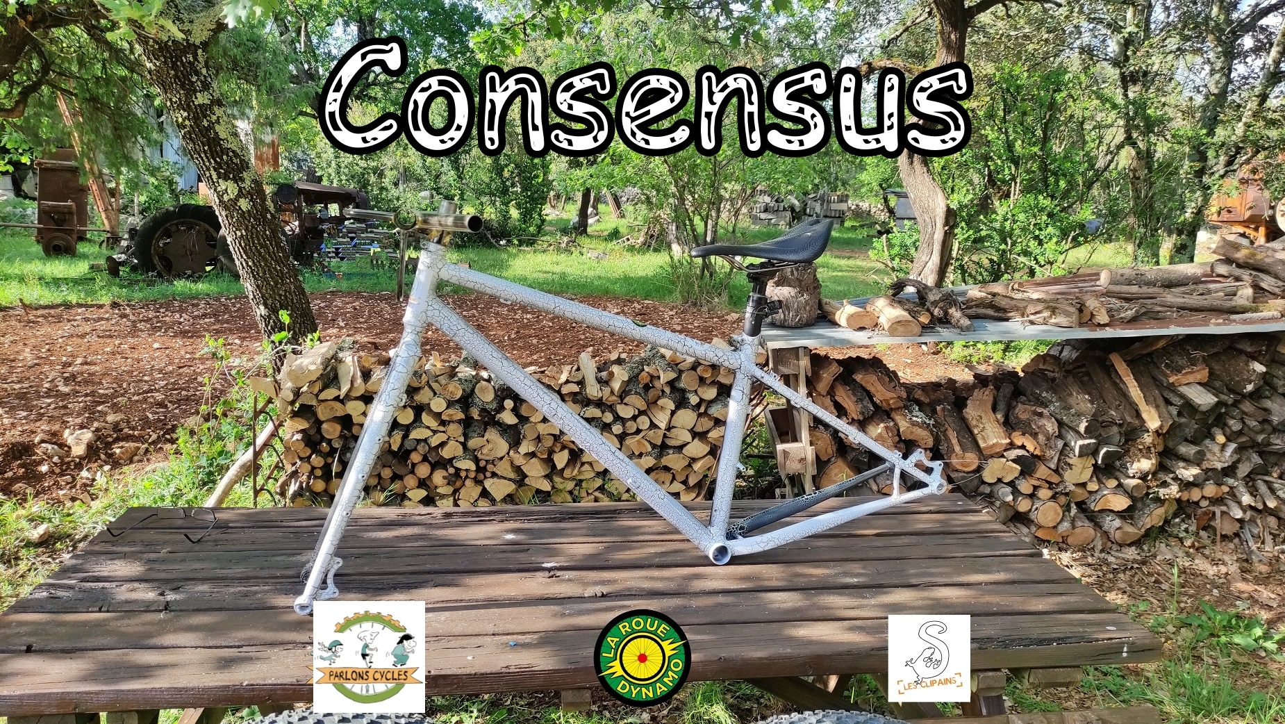 Consensus
